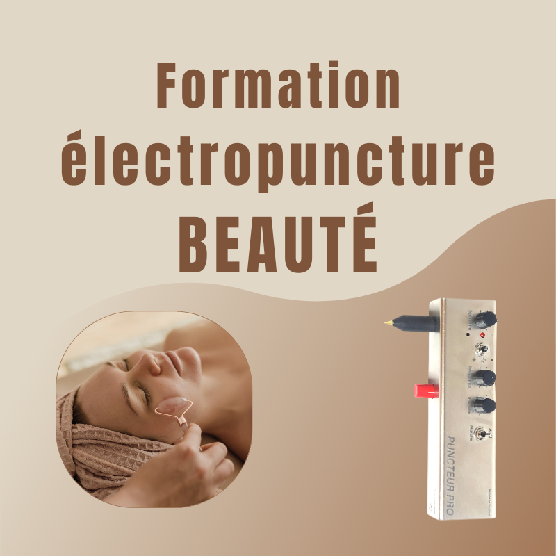 formation électropuncture beauté